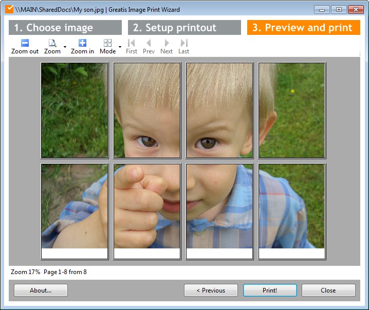 Image Print Wizard preview and print screen